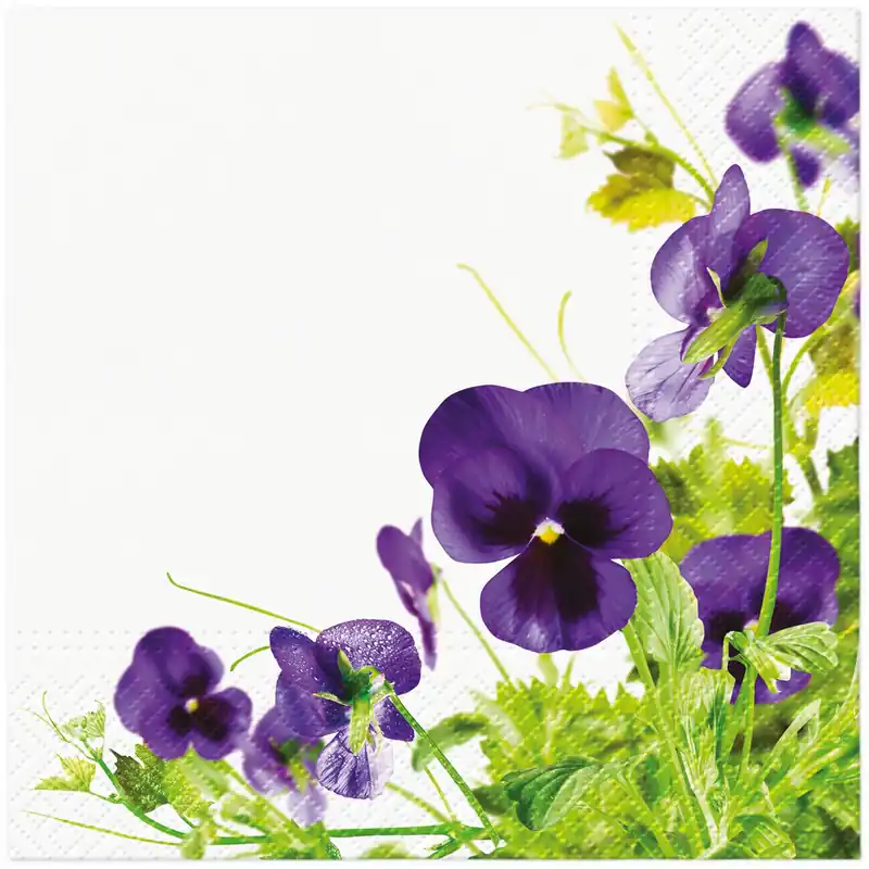 Kup teraz Serwetki papierowe dekoracyjne PANSIES FRAME 20 szt.