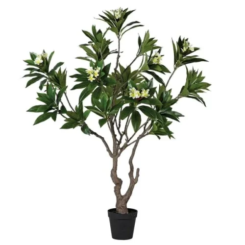 Super okazja Sztuczne drzewko plumerii Frangipani 213 cm - na taras i do ogrodu